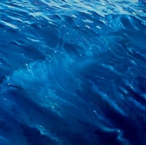 Twin Dolphins 20 Limited Edition Lithographs